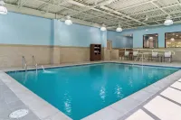 Holiday Inn Express & Suites DETROIT-NOVI by IHG - Swimmingpools