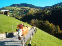 Hubertus A Hotel a Habkern