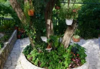 Apartments Tatjana - Pet Friendly