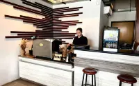 Hotel Palm - bar