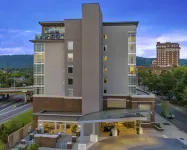 DoubleTree by Hilton Asheville Downtown - غرفة مطلة على الجبل