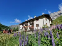 Ski chalet Cervinia Martino e Bassi ski-in-ski-out 6 persons sunny balcony wifi Hotels near NOL SKI