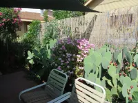 LA CASITA: Charm/Privacy, Stunning Patio, pet friendly