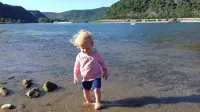 Chalet in the orchard and play garden - Homestays