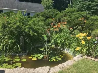 Historic property is a comfortable, peaceful, and safe  place to stay.
