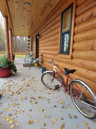 Finlayson  New log cabin on 10 acres