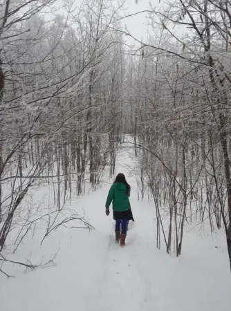 Fiddlehead Farm Yurt Отели в г. Дулут