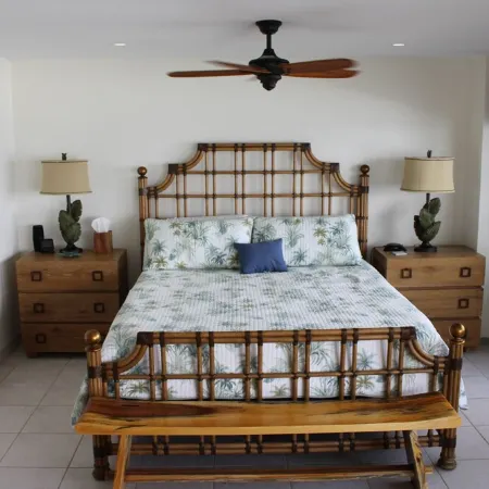 Banyan Tree #303 - The best oceanfront condo with a car, beach & all the gear!