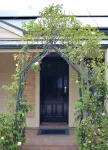 The Blush 2 - Style in the vines