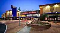 Tucson Time Machine Journey–Enjoy Rooftop Sunsets & Wildlife Show