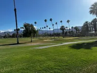 Quaint condo. Walking distance to El Paseo stores & restaurants