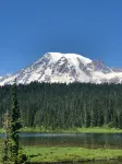New cozy 2Br/2Bath cabin near Mount Rainier!!!!