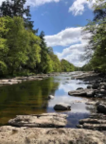 Berry View - Idyllic cosy cottage on berry farm