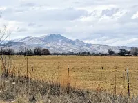 E-Town House, Peaceful Country Get-Away, Local Gem Close to Town, Pac-Man Arcade