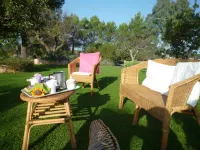 Trulli in Apulia with Pool and Pine Forest with Hammocks....... a Fairy Tale!