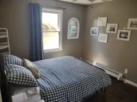 Remote cabin with gorgeous view and sunsets, pets free, fast Wi-Fi! - Chalets