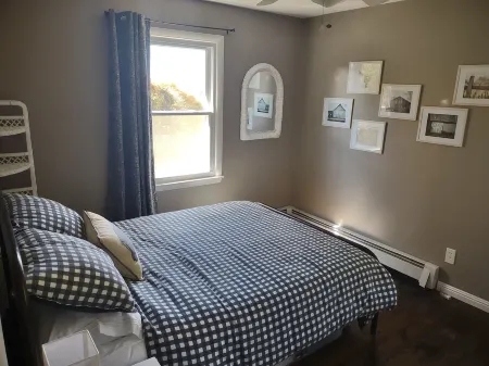 Remote cabin with gorgeous view and sunsets, pets free, fast Wi-Fi!