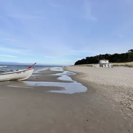 Very close to the sea and km-long sandy beach; bright and quiet on the edge of the forest, balcony