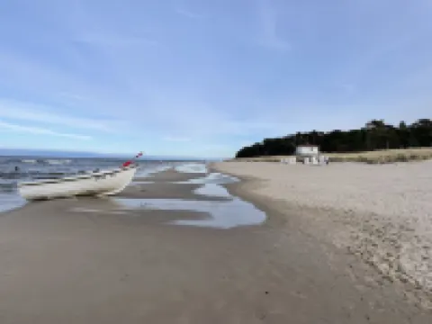 Very close to the sea and km-long sandy beach; bright and quiet on the edge of the forest, balcony