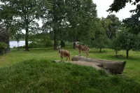 Ferien auf dem Bauernhof, Ruhige Lage mit Viel Platz und Vielen Tieren Hotels in Weißenberg