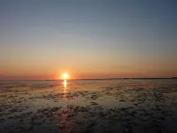 Garden idyll at the Wadden Sea National Park Hotels in Wesselburen