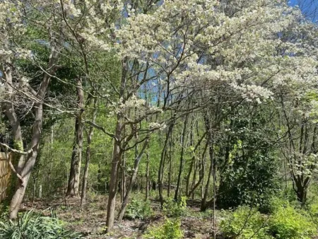 Quiet, newly renovated. Near everything! Отели рядом с достопримечательностью «Ханс Молл»