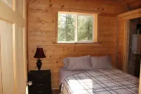 Cozy Cabin in the Big Woods of North Idaho - Chalets