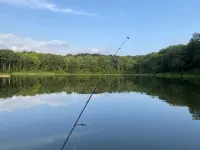 Lakefront Serenity in the Catskills near All Star Village