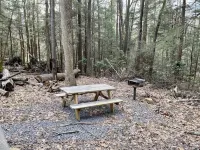 Creekside Log Cabin w/firepit, near quaint towns Thomas/Davis & many state parks