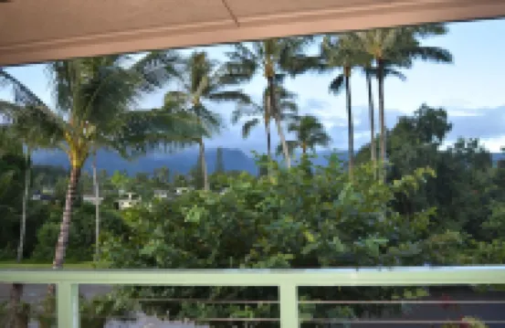 Beautiful, large studio with Mountain views from deck, beach access & A/C