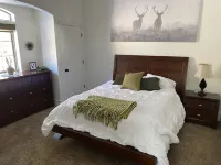 Family Getaway in the Pines