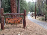 Shanks' lodge is the ultimate home in the woods for large groups.