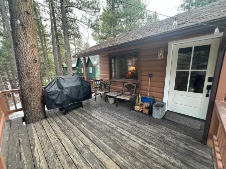 DK’s Treehouse - Backed to Forest, Fast WiFi & Close to All Big Bear Fun!