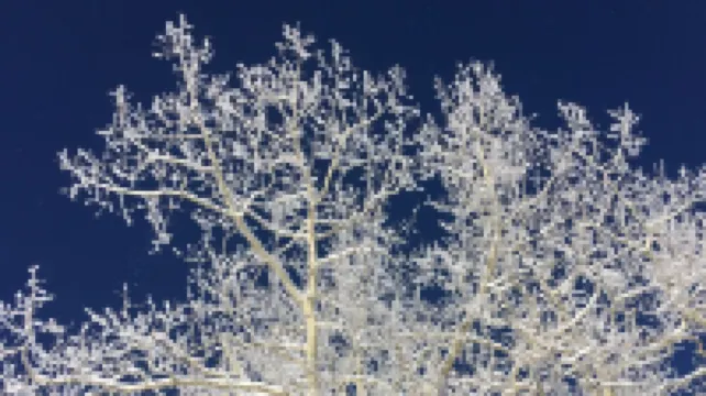 MODERN Monet Blue Aspen Victorian Whole House In Town,  with Private Hot Tub!