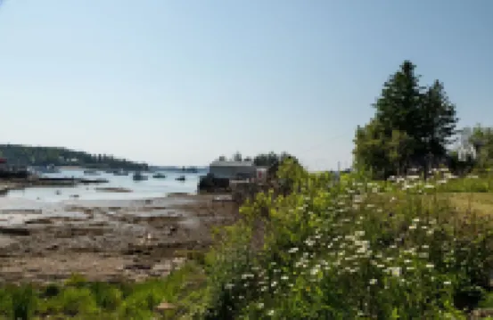 Dew Drop Cottage II: Within Walking Distance Of Port Clyde Village