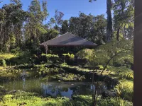 Volcano Forest House next to Volcano National Park