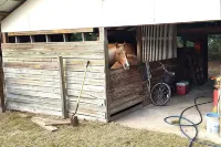Cozy RV in Enchanting Silver Springs with WiFi, AC, TV, fire pit & horse stable Hotels near Silver Springs State Park Campground