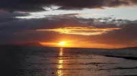 Oceanbreeze Private Resort Hotels in Lobo