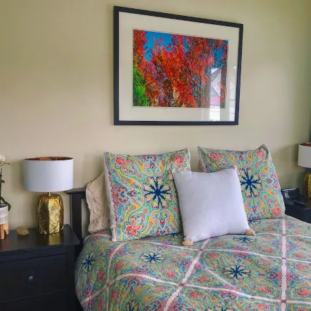 Titania - Second Spring Property 1-3 Bedroom Luxury Rentals In Downtown Ashland