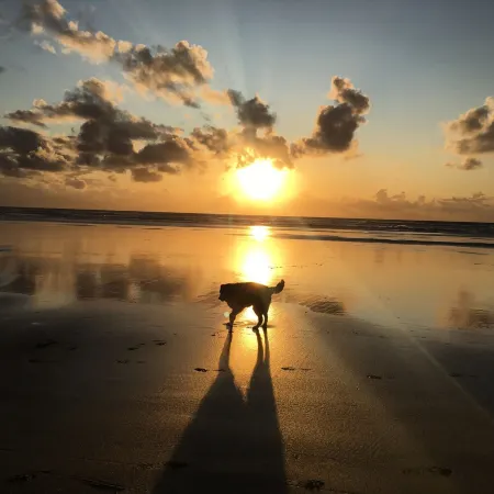 Sunny Cabin in Manzanita on the Oregon Coast, 5 min. walk by trail to the beach