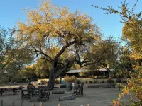 3 BR adobe home , horse friendly, pool, jacuzzi,pet friendly.