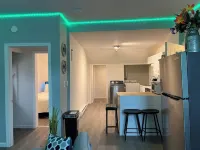 Beautiful Downtown Apartment