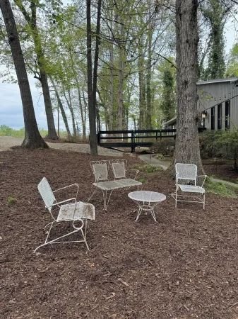 Cozy cottage nestled in the woods near WILLSTELLA Farm Venue