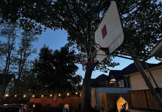 앨튼 로지 이미지