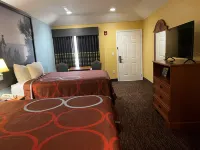 Super 8 by Wyndham Montgomery/ Lake Conroe Hotels in Montgomery