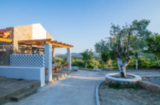 To Stolidi Tis Psinthou