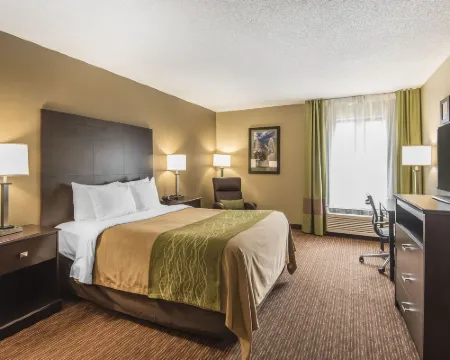 Comfort Inn & Suites Kansas City - Northeast Hotels in Chouteau Township