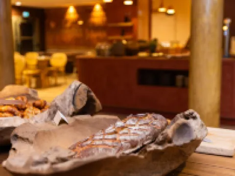 Serra Boutique Hôtel Hotels in Agen