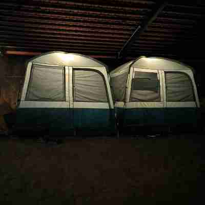 Laughing Elephants Rooms