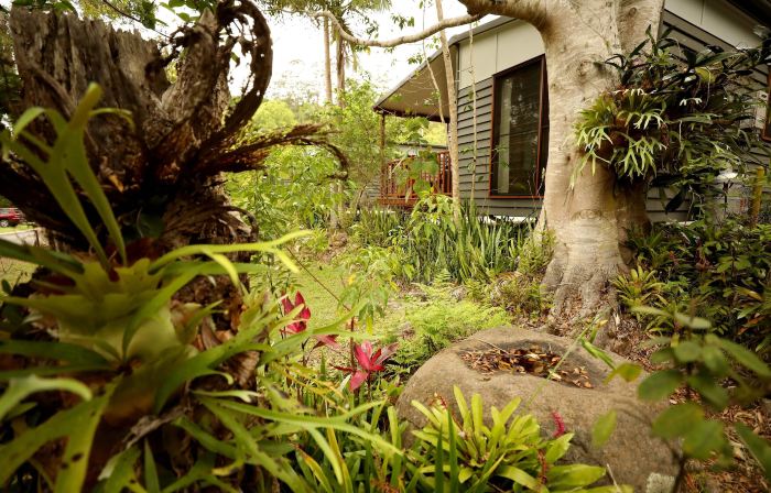 Mt Warning Rainforest Park